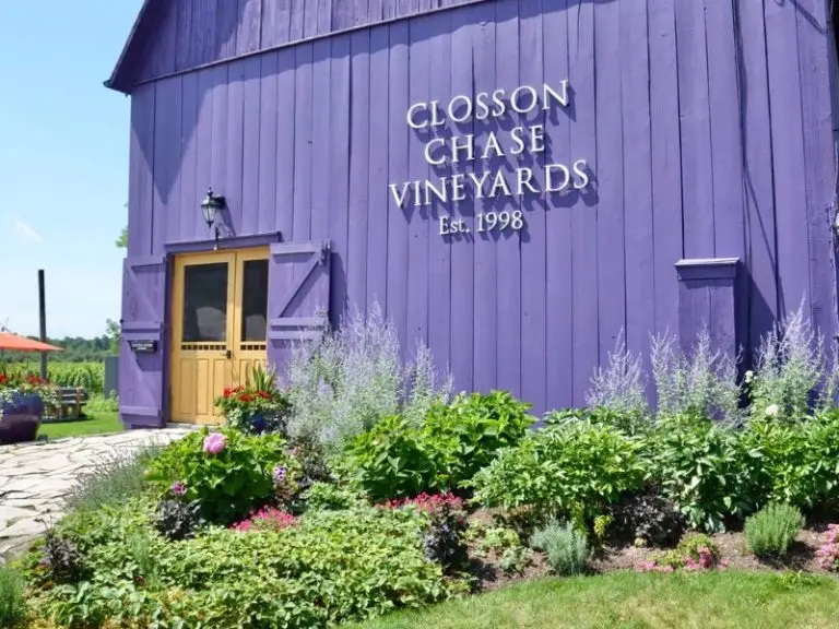 Closson Chase Vineyards - Best Wineries in Prince Edward County